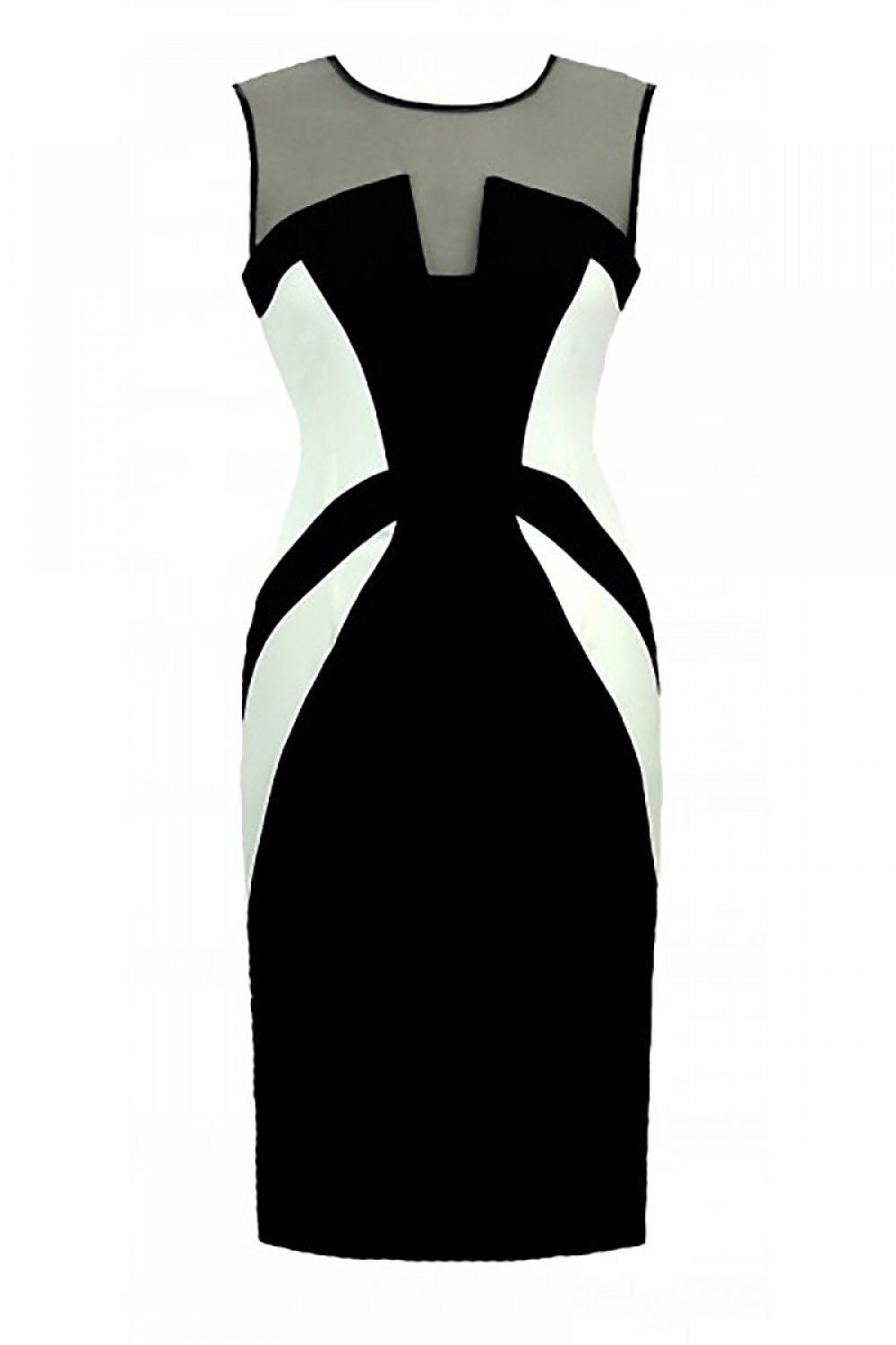 Fitted Dress with Mesh Neckline and Ribbon Detail