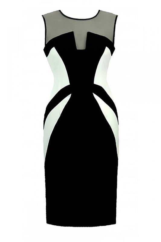 Fitted Dress with Mesh Neckline and Ribbon Detail